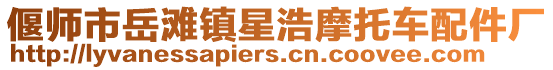 偃師市岳灘鎮星浩摩托車配件廠