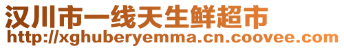 漢川市一線天生鮮超市