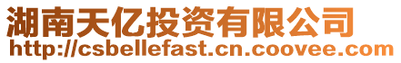湖南天億投資有限公司