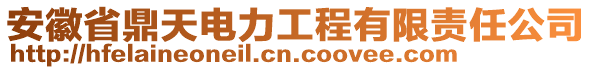 安徽省鼎天电力工程有限责任公司