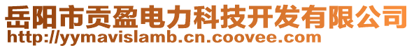 岳陽市貢盈電力科技開發(fā)有限公司