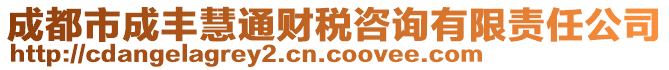 成都市成豐慧通財稅咨詢有限責(zé)任公司