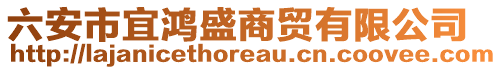 六安市宜鴻盛商貿(mào)有限公司