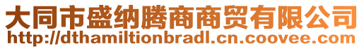 大同市盛納騰商商貿(mào)有限公司