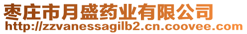 棗莊市月盛藥業(yè)有限公司