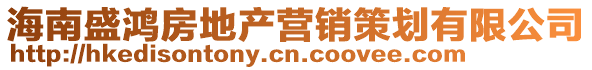 海南盛鸿房地产营销策划有限公司