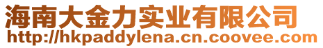 海南大金力實業(yè)有限公司