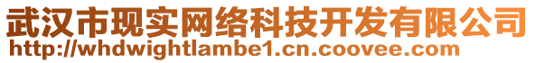 武漢市現(xiàn)實(shí)網(wǎng)絡(luò)科技開(kāi)發(fā)有限公司