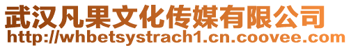 武漢凡果文化傳媒有限公司