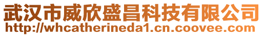 武漢市威欣盛昌科技有限公司