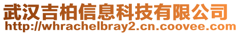 武漢吉柏信息科技有限公司