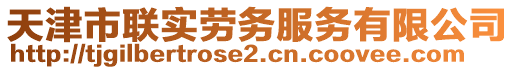 天津市聯(lián)實(shí)勞務(wù)服務(wù)有限公司