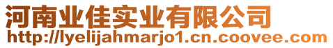 河南業(yè)佳實(shí)業(yè)有限公司