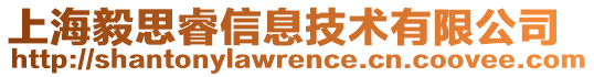 上海毅思睿信息技術(shù)有限公司