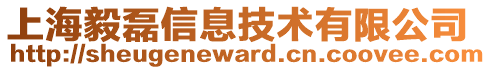 上海毅磊信息技術(shù)有限公司