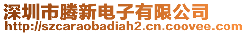 深圳市騰新電子有限公司