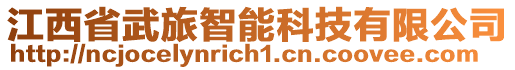 江西省武旅智能科技有限公司