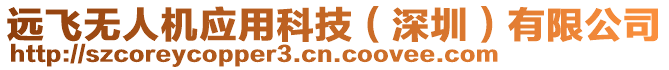 遠(yuǎn)飛無人機(jī)應(yīng)用科技（深圳）有限公司