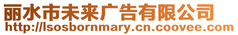 麗水市未來廣告有限公司