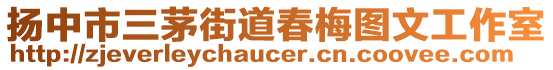 揚(yáng)中市三茅街道春梅圖文工作室