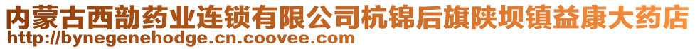 內(nèi)蒙古西勏藥業(yè)連鎖有限公司杭錦后旗陜壩鎮(zhèn)益康大藥店