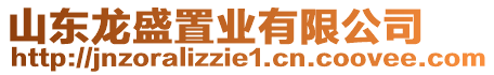 山東龍盛置業有限公司
