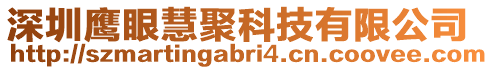 深圳鷹眼慧聚科技有限公司