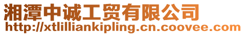湘潭中誠工貿有限公司