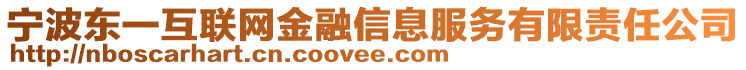 寧波東一互聯(lián)網(wǎng)金融信息服務(wù)有限責(zé)任公司