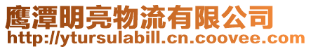鷹潭明亮物流有限公司