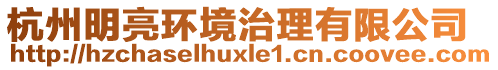 杭州明亮環(huán)境治理有限公司