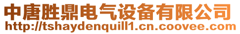 中唐勝鼎電氣設(shè)備有限公司