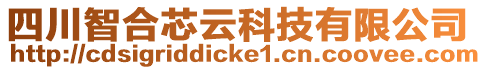 四川智合芯云科技有限公司