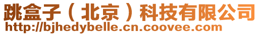 跳盒子(北京)科技有限公司