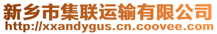 新鄉(xiāng)市集聯(lián)運輸有限公司