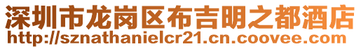 深圳市龍崗區布吉明之都酒店