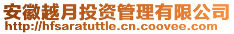 安徽越月投資管理有限公司