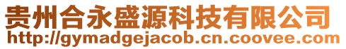 貴州合永盛源科技有限公司