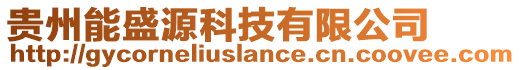 貴州能盛源科技有限公司