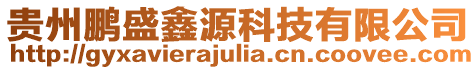 貴州鵬盛鑫源科技有限公司