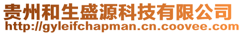 貴州和生盛源科技有限公司