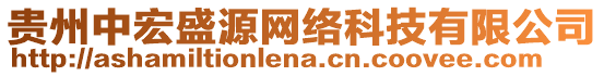 貴州中宏盛源網絡科技有限公司