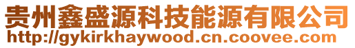 貴州鑫盛源科技能源有限公司