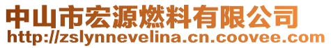 中山市宏源燃料有限公司