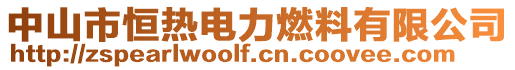 中山市恒熱電力燃料有限公司