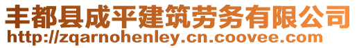 豐都縣成平建筑勞務(wù)有限公司