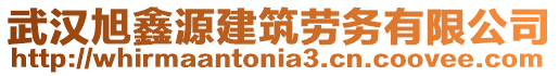 武漢旭鑫源建筑勞務有限公司