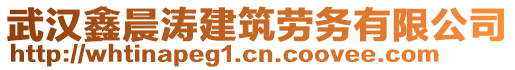 武漢鑫晨濤建筑勞務(wù)有限公司