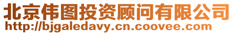 北京偉圖投資顧問有限公司