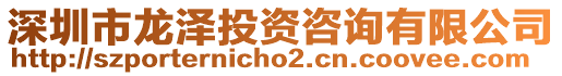 深圳市龍澤投資咨詢有限公司